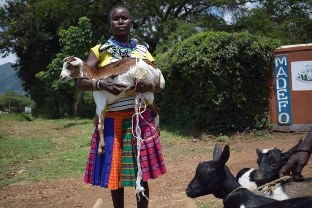 Livestock restocking