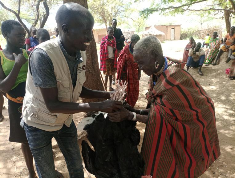 Poultry support for elderly households
