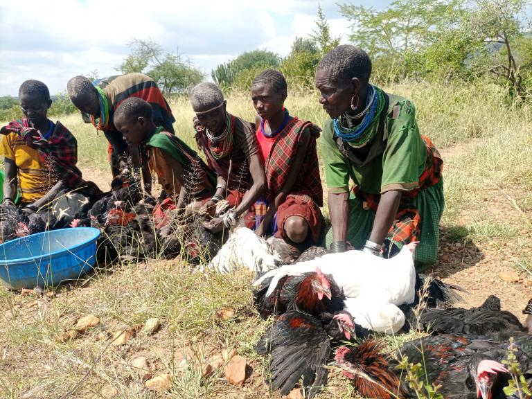 Poultry support for elderly households