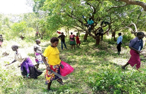 Valley dam serving as a community water point