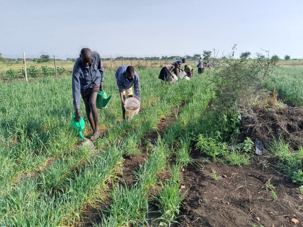 Wheat-growing trials